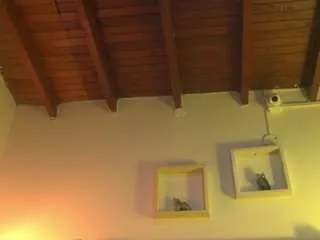 pattymm — ORGASM (favorite patterns: 5/12/33/48/100 [200 tokens remaining]