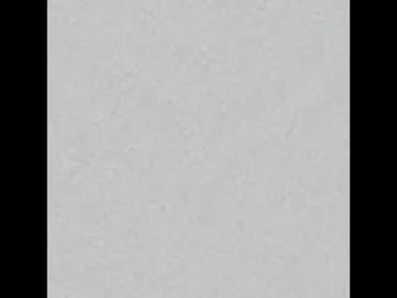 charlotte_germanotta_