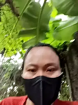 Billa2x model from sc