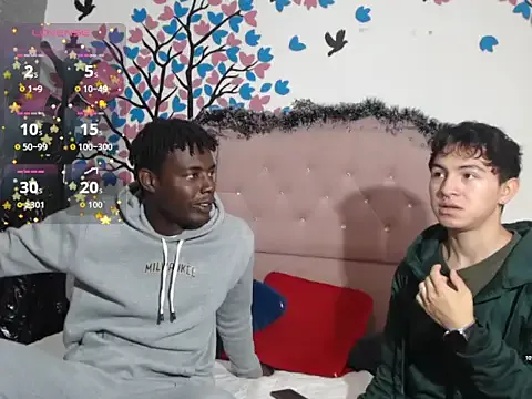 crissfer1 model from sc