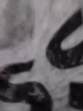 HotCaramela's avatar