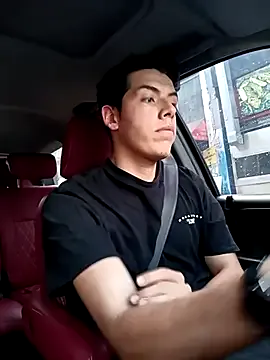 maximo_15_ model from sc